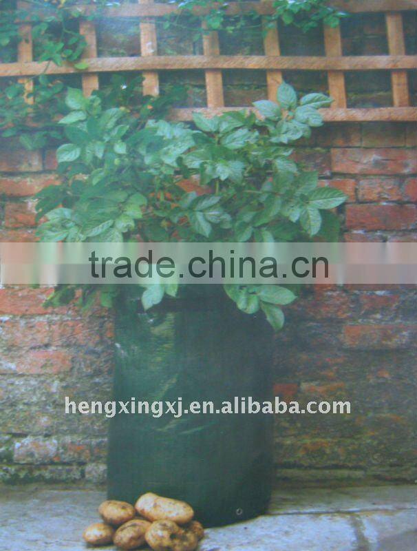 2015 PE Potato Plant Agriculture Grow Bag