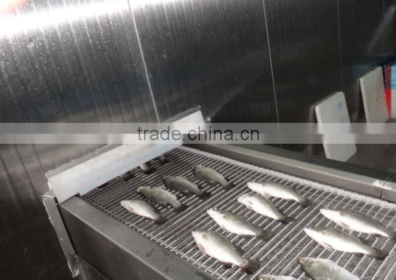 Asian Sea Bass Lates Calcarifer Barramundi