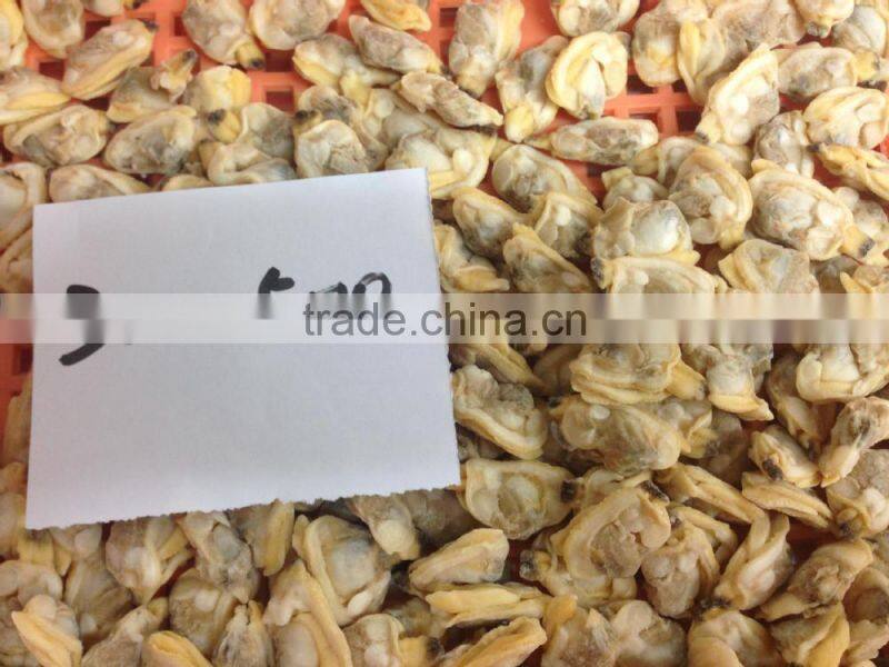 High quality hot sales frozen short necked clam meat