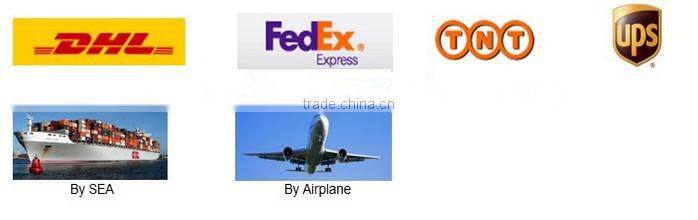 Customized EU Plug 5V 3.1A 3 USB charger