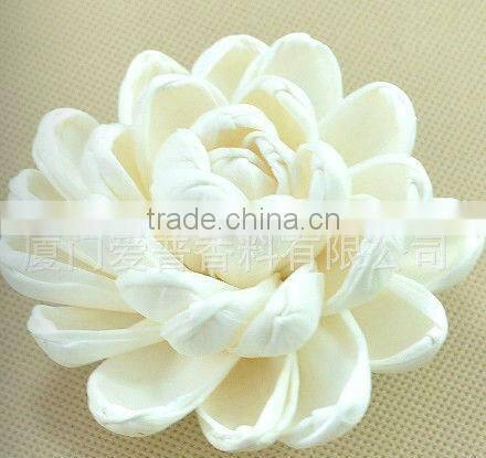 Natural Sola Flower Diffuser / Diffuser / Home decoration