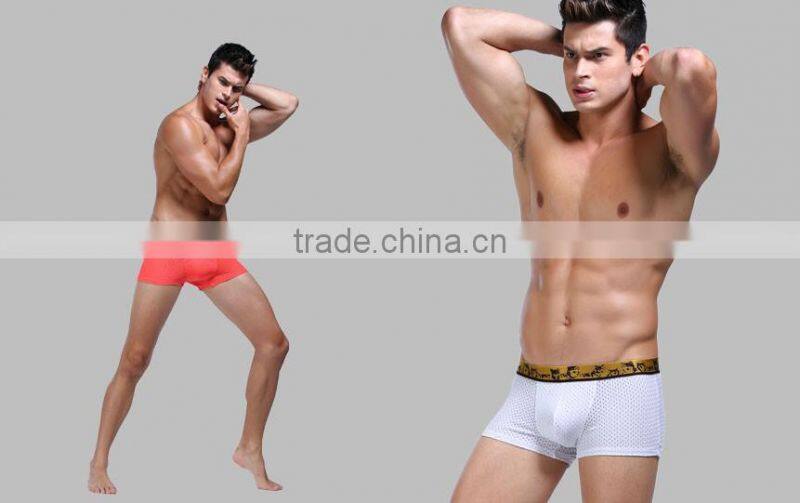 Men Underwear with all over the printing/welcome OEM Our band boxer