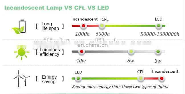Underwater led strip light ip68 tow color led 3014 224leds CCT temperature color change tape