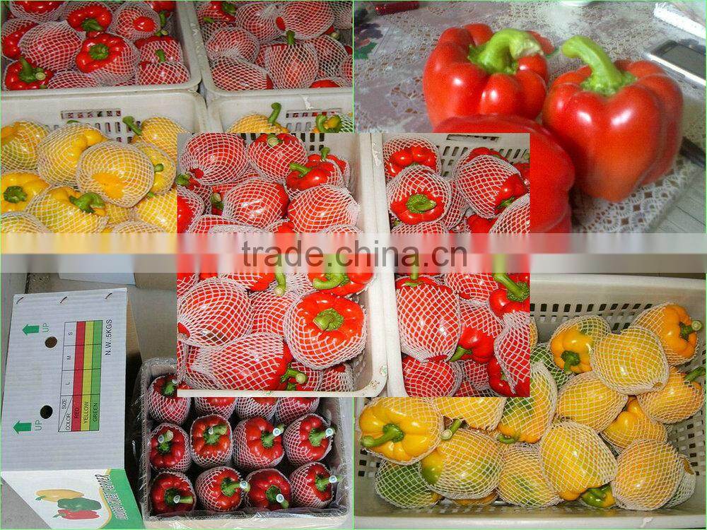 (HOT) Colourful pepper:Exported to Britain, the Middle East, southeast Asia