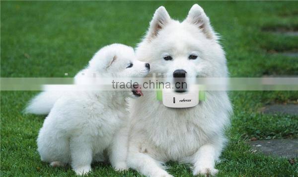 Hot Brand TK STAR Mini GPS Tracker for Pet Waterproof IPX6 with Free WEB PC Platform And Tracking APP for Android IOS Smartphone