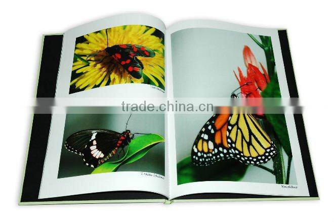 2015 high quality catalog pringting&adult catalog printing