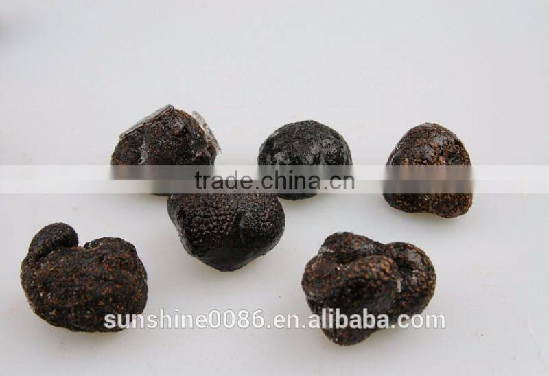 High Quality Wild Black Truffle with Market Prices for Mushroom Free Shipping