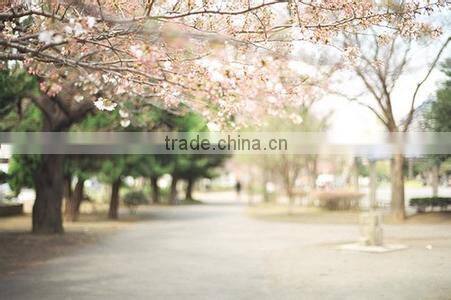 Middle density fiberboard