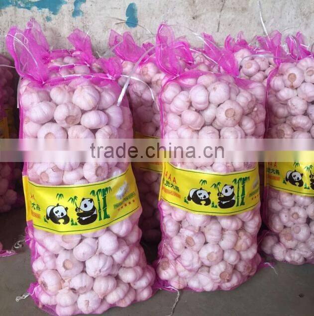 China garlic pric