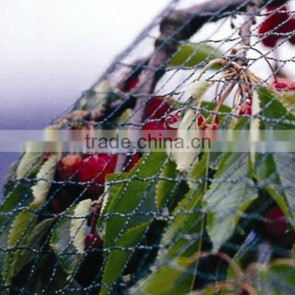 Farm bird preventing net