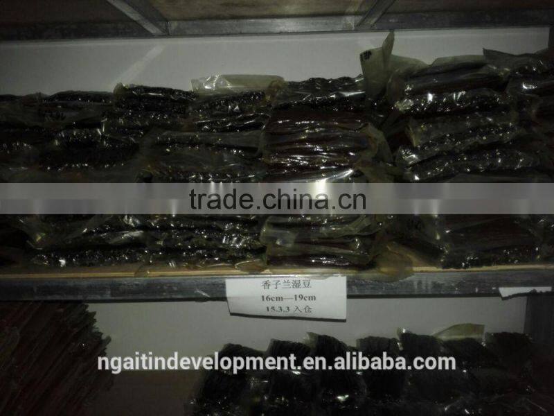 High Class Best Spice Madagascar Vanilla Bean