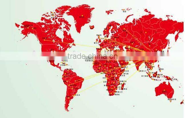 1Ply Printed Raschel Blanket/Korean Mink Blanket