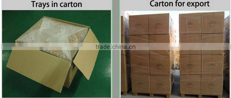 100Ml New Design Cosmetic Packaging Tube &3Mm Plastic Tube