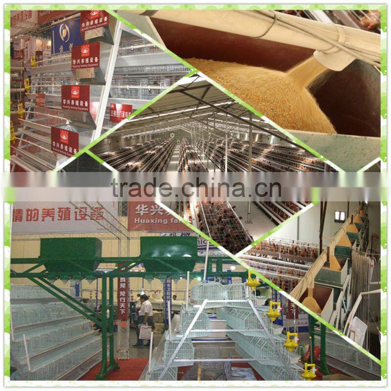quail cage for sale & layer quail cage for poultry farm equipment