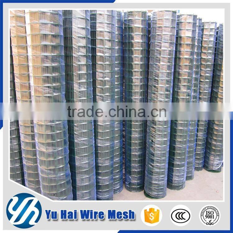 1/2 inch pvc coated welded bird cage wire mesh