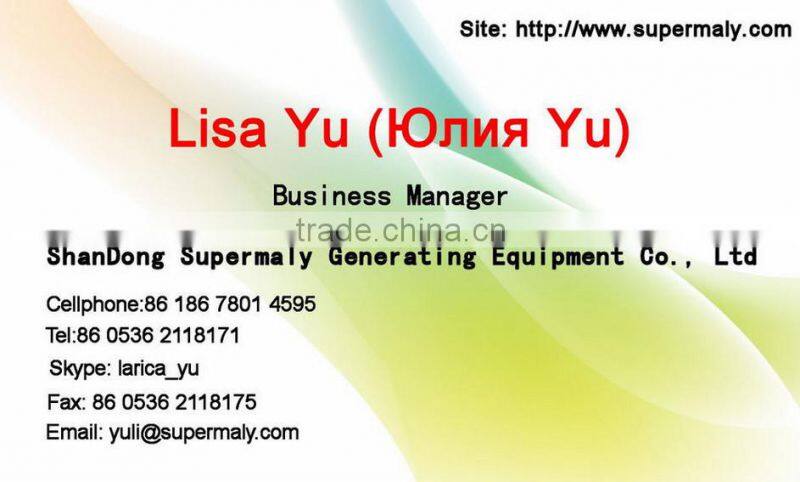 Hot! 2015 CE approved with factory price diesel generators 160kva