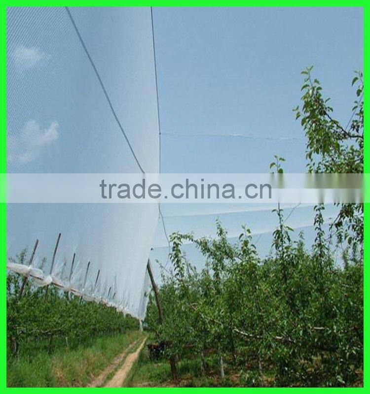 Knitted Anti Hail Netting WHITE 5m Width Pond Netting Fruit Protection