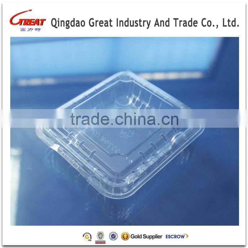 Plastic blueberry packaging container 125 gram clamshell blister plastic packaging tray