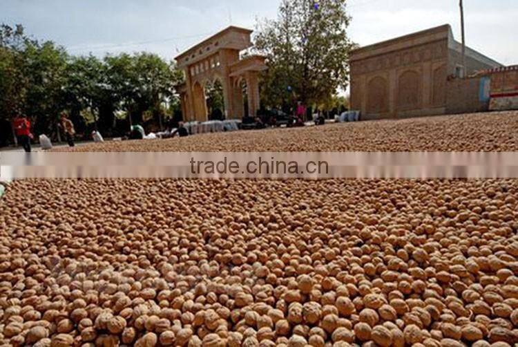 Chinese good quality walnuts prices