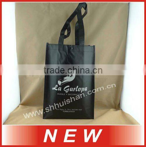2012 Eco-friendly Non-woven bottles of bag