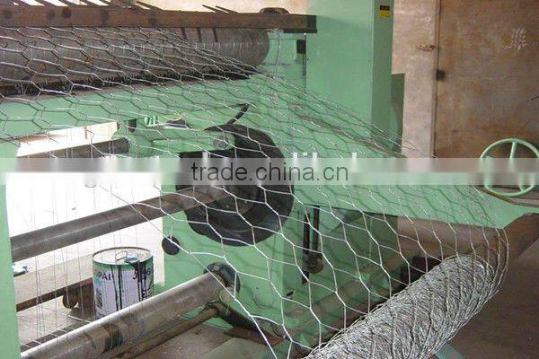 hexagonal wire mesh/ chicken wire mesh best selling
