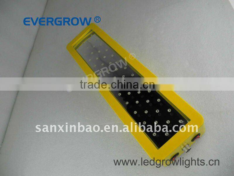100W yellow led chips high power led grow light panel EG-50*3W-GPY-SXB