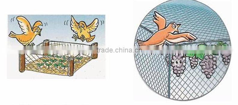 Anti-Bird Net For Garden bird control net, plastic hdpe anti bird net