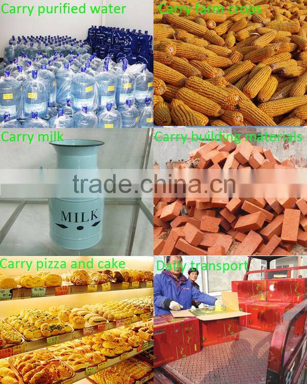 Motorized freight tricycle/ Tri Motorcycle Cargo/bicycle 4 wheels adult