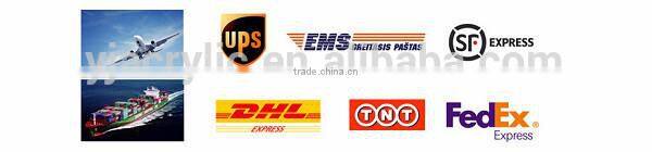 Customized acrylic watch case