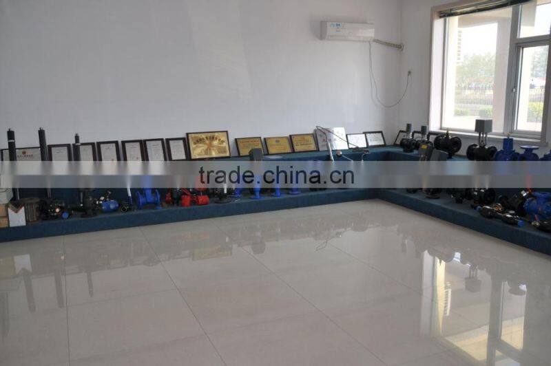 cast iron 300lb sluice valve DN65