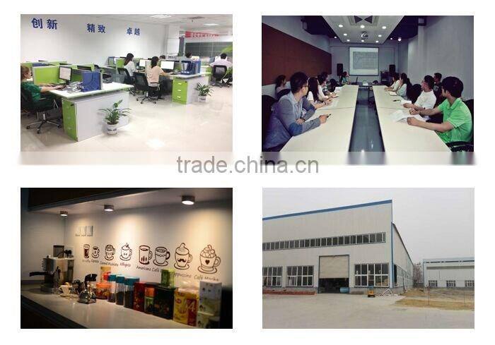 Hot Sale! Amusement Park Theme Swing Carousel For Sale