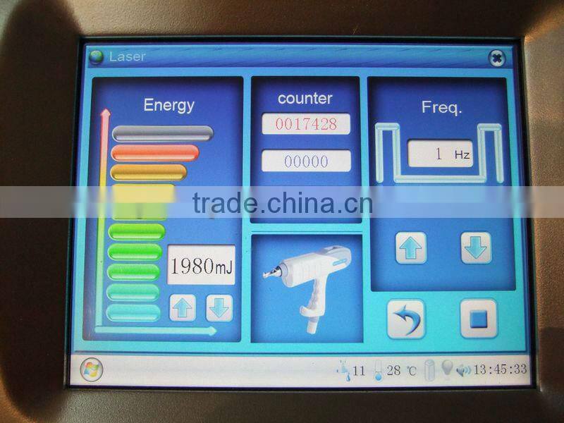 Hottest in France 16 languages for choose , Nd:Yag laser for tattoo removal, dermal pigmentation treatment with CE approval