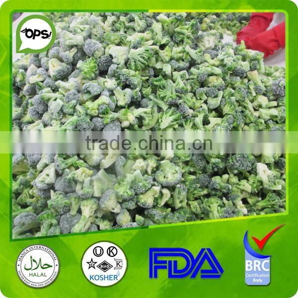 New crop Frozen Broccoli