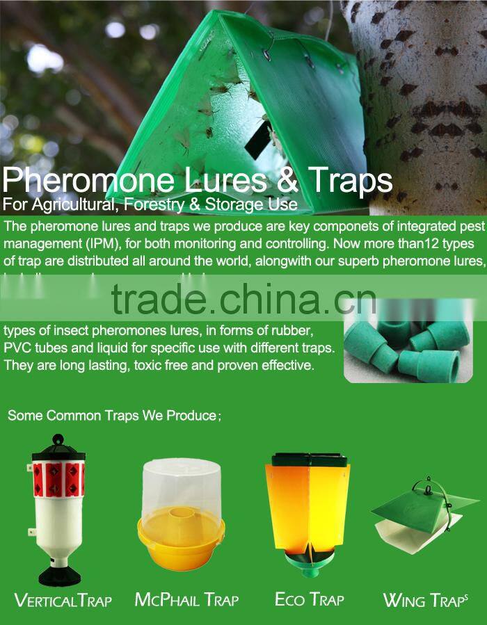 Ephestia/plodia spp. pheromone lure and rice flour trap set