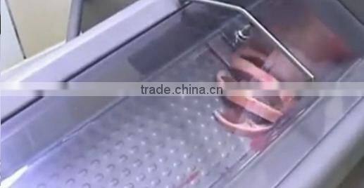 High Efficiency spareribs cutting machine/Ribs Cutter machine