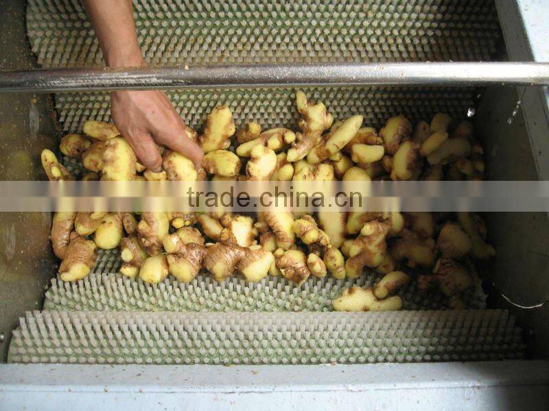Fresh Ginger Water Washer And Brush Roller Peeler