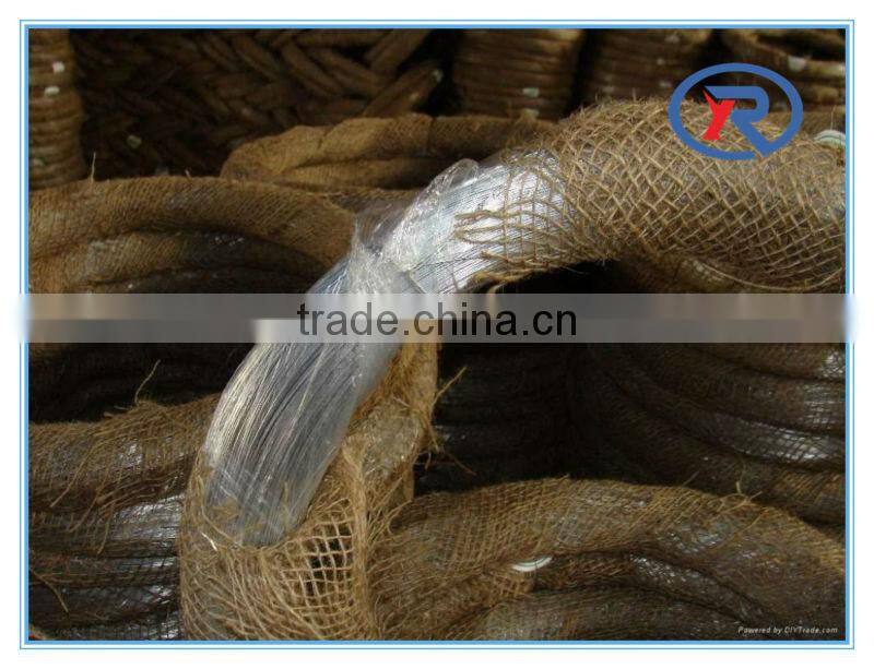 trade assurance Galvanized binding wire /GI Binding wire/gi iron wire
