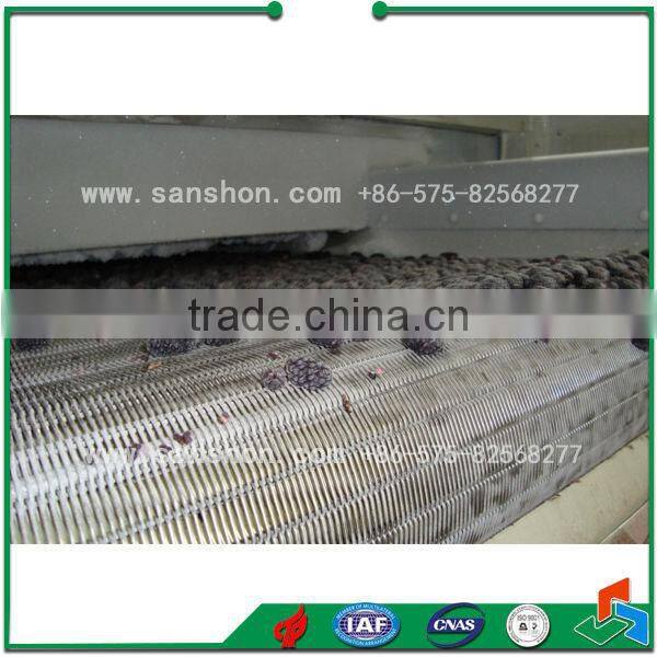 China Green Pea IQF tunnel Blast Food Quick Freezers