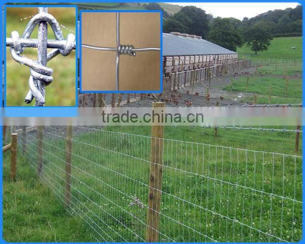 Woven Wire Fence/Goat Sheep Fence/Cattle Field Fence