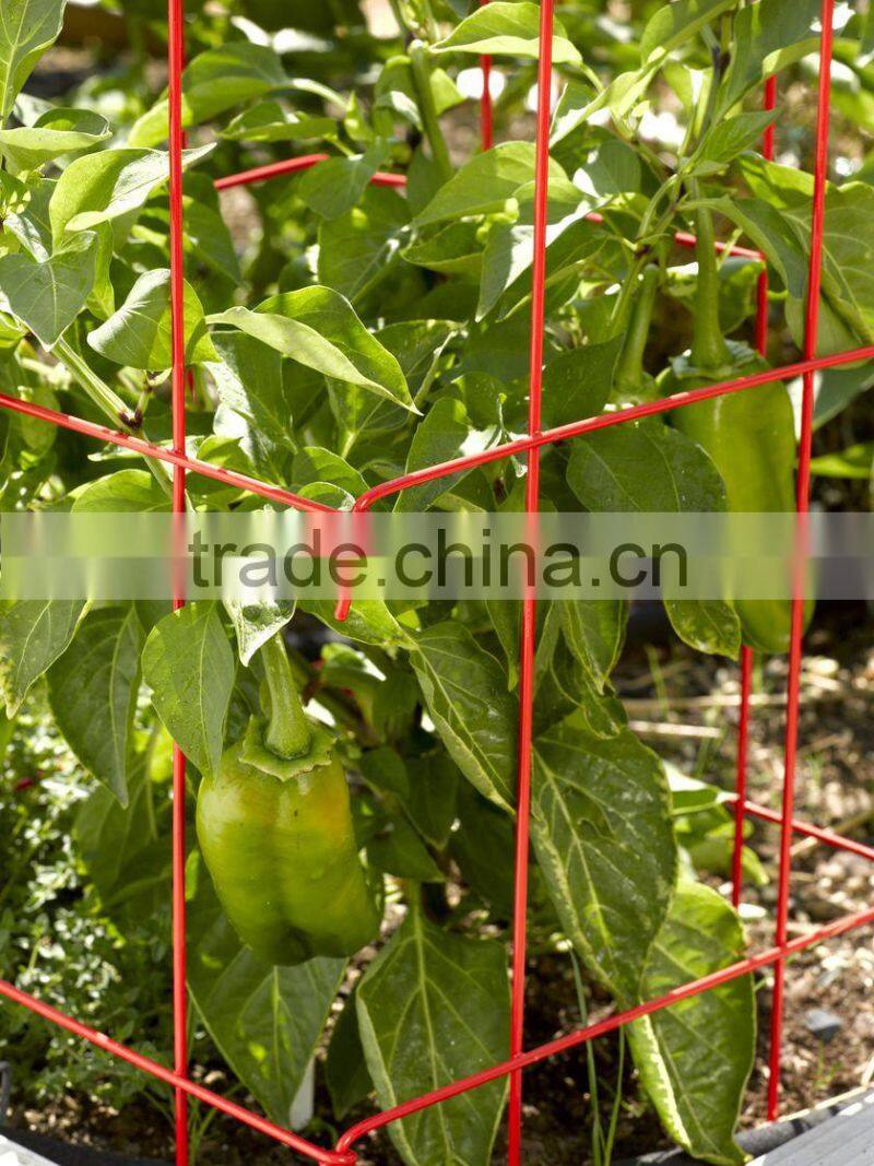 tomato spiral wire rod support