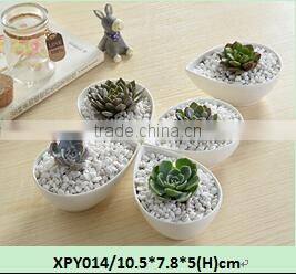 Indoor mini glazed white pottery planter for succulent