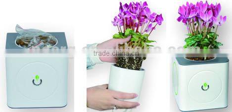 MINI SMART FLOWRE POT