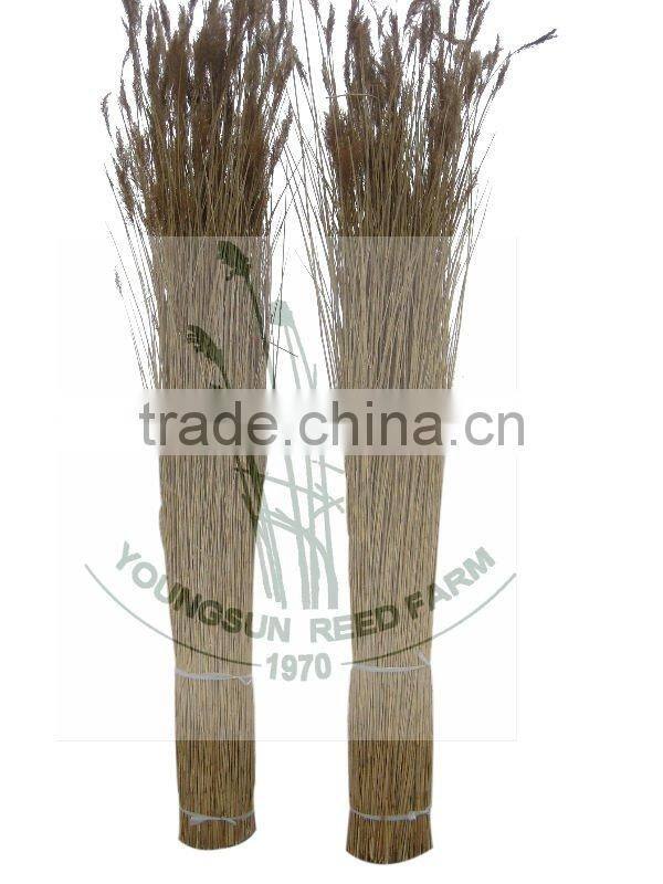 new fine water reed for thatching