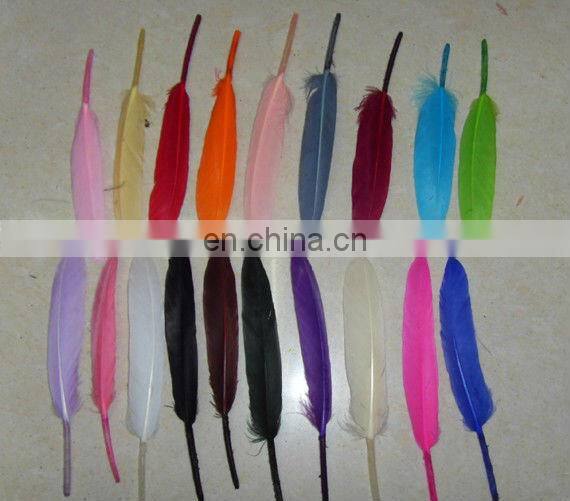 pheasant feather for decorate