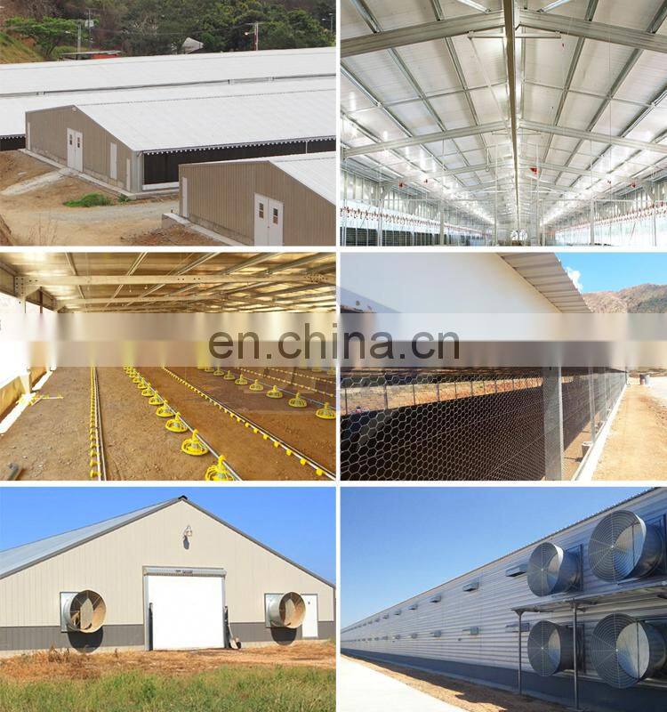 Prefabricated Light Steel Structure Build Chicken Poultry Farming House Construction