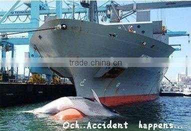 Cargo Sercurity Cargo safety Transportation Sercurity