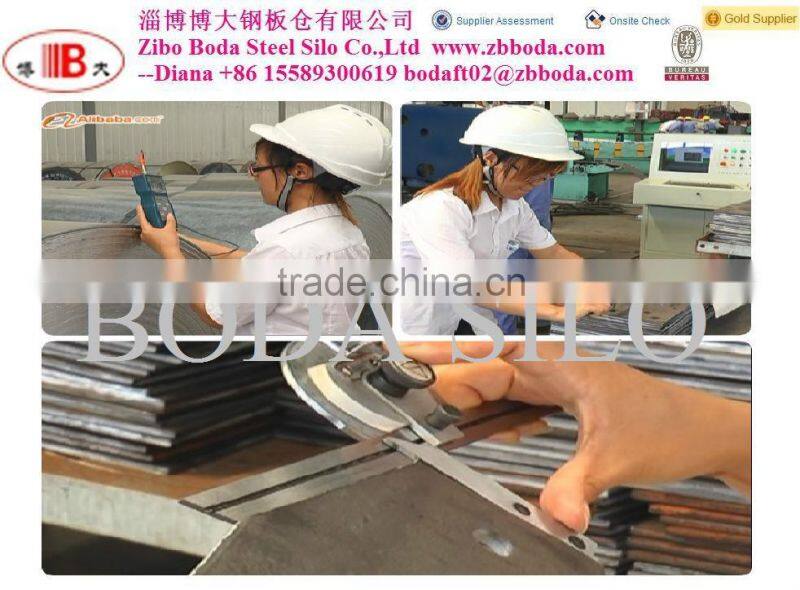 Roof grain scraper / chain conveyor on steel silo with catwalk for supporting