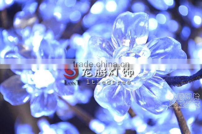 cherry blossom bonsai tree