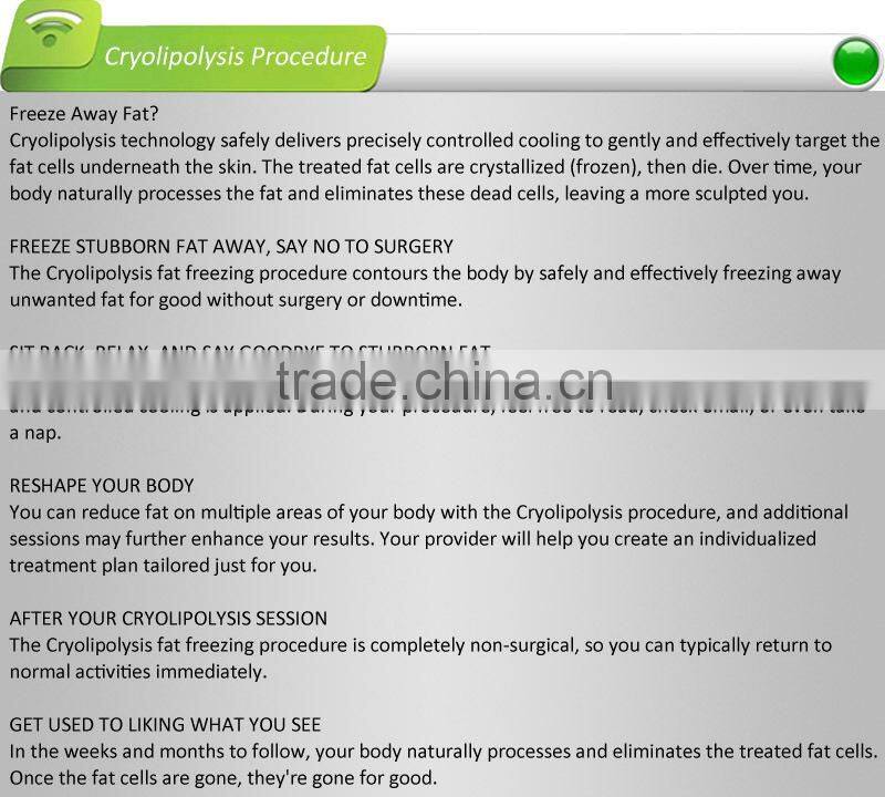 New Product Fat Freezing Machine / Multifunction Cryolipolysis Machine