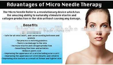 CE Certification and Derma Rolling System Type micro needle pen